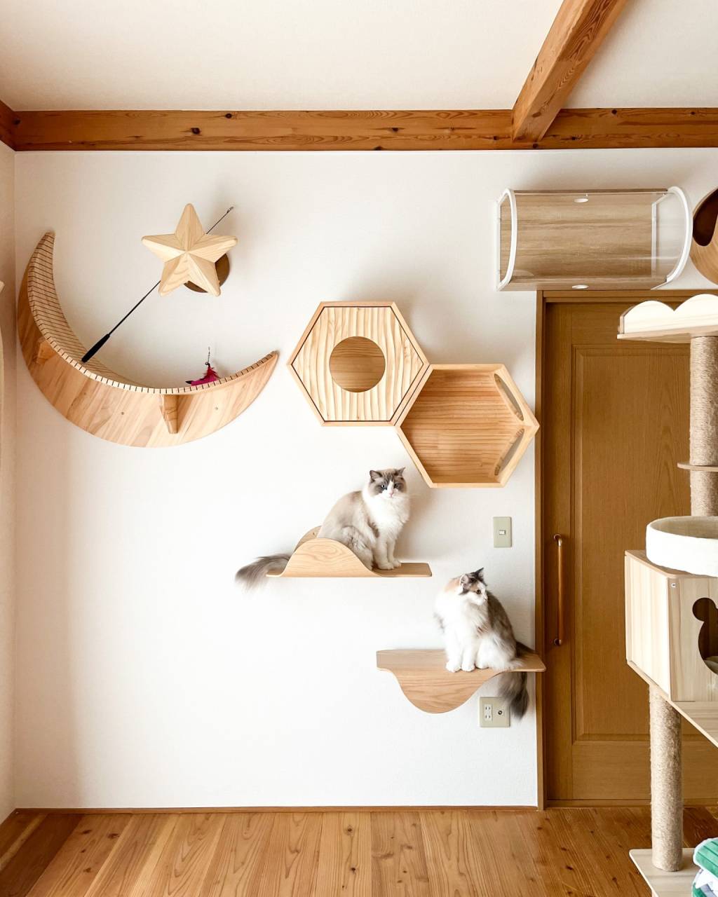 行橋市・戸建て