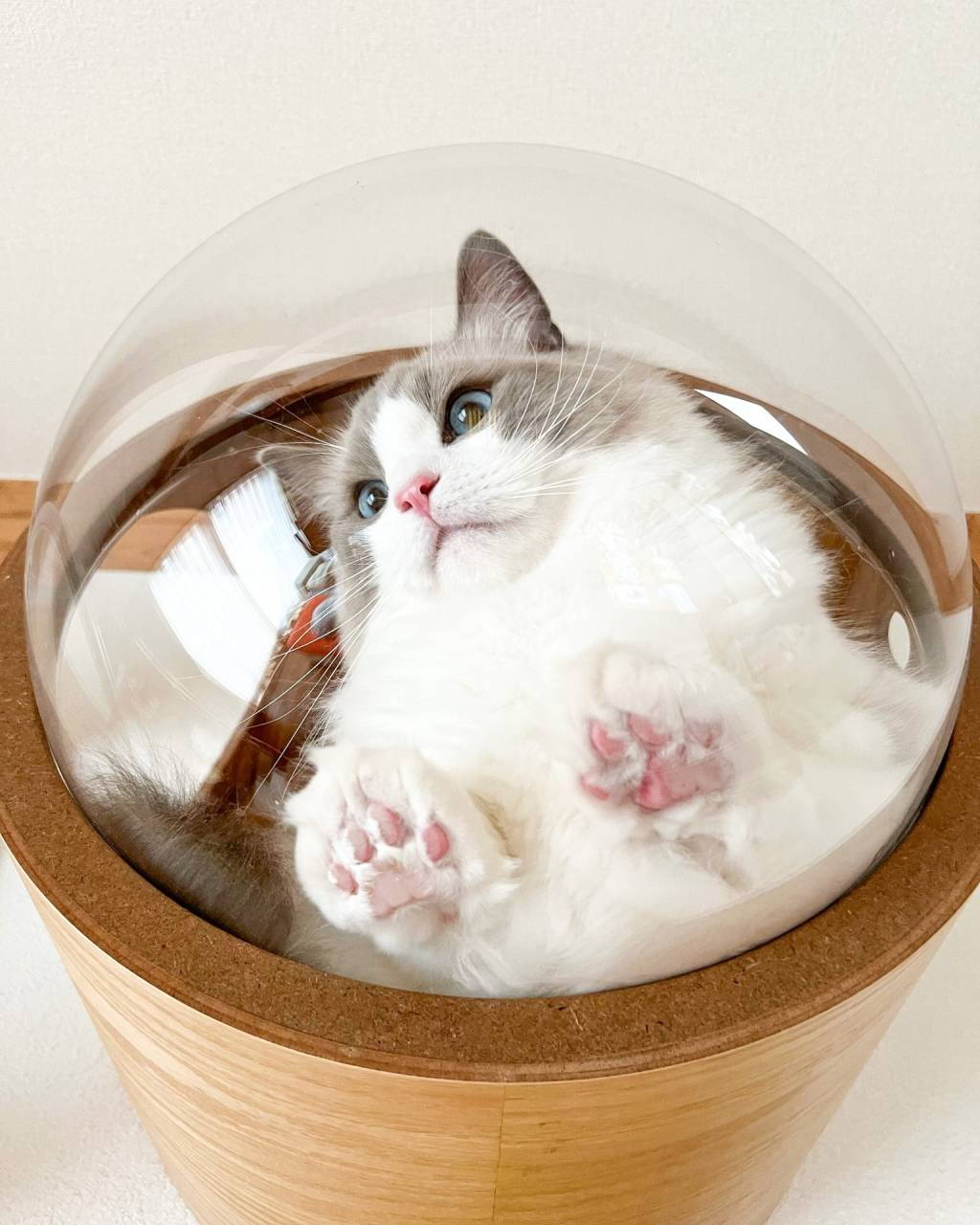 行橋市・戸建て