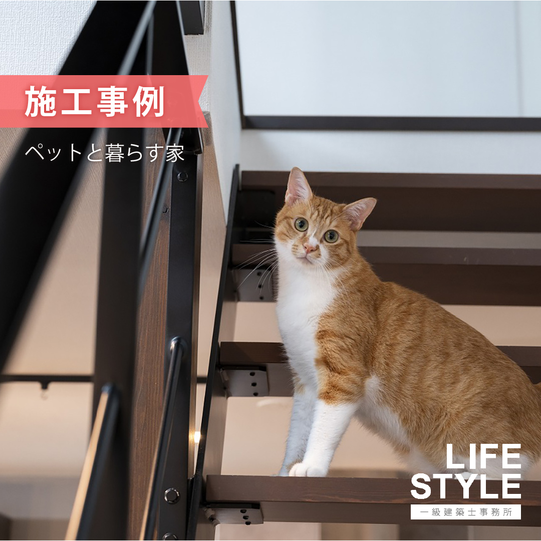 【特集/ペットと暮らす家】