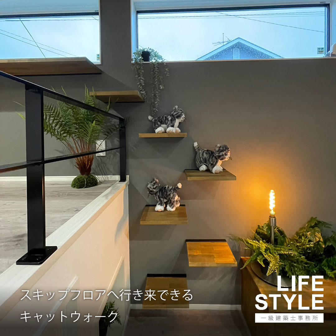 【特集/ペットと暮らす家】