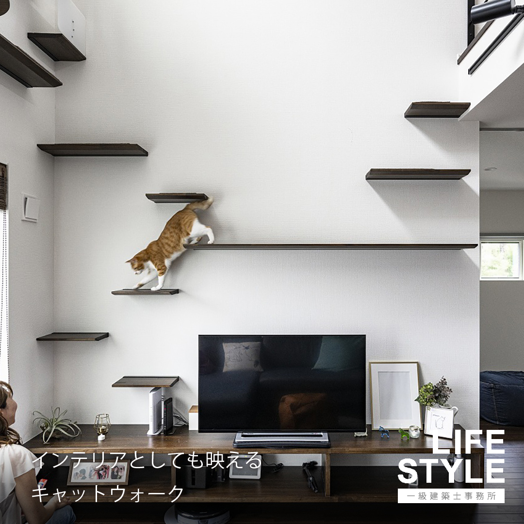 【特集/ペットと暮らす家】