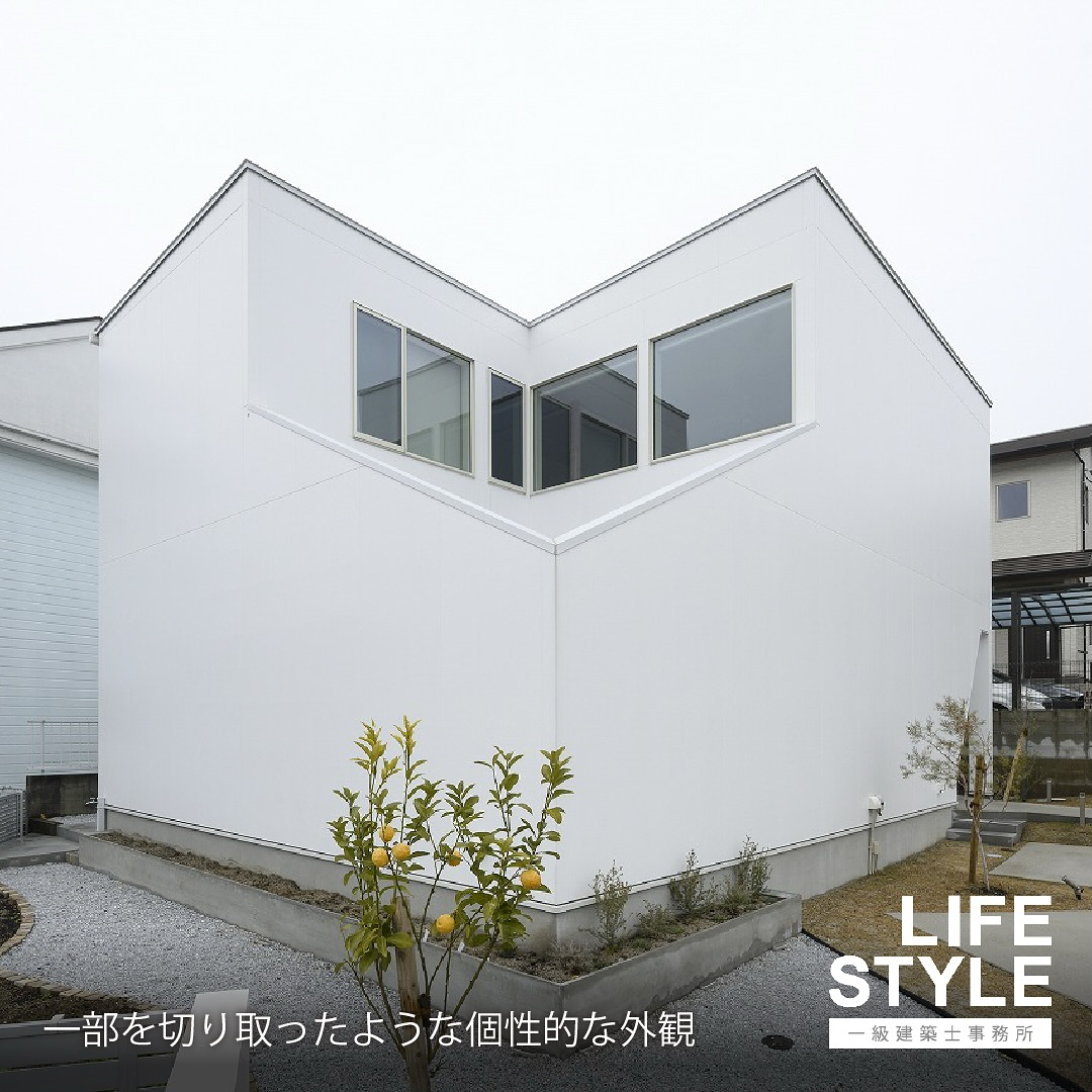 【注文住宅】猫も人も幸せに暮らせる家