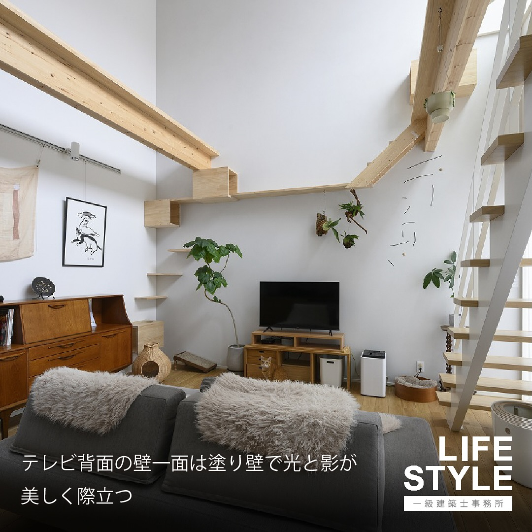 【注文住宅】猫も人も幸せに暮らせる家