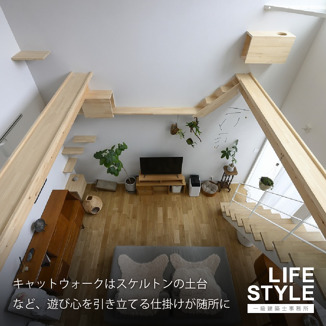 【注文住宅】猫も人も幸せに暮らせる家