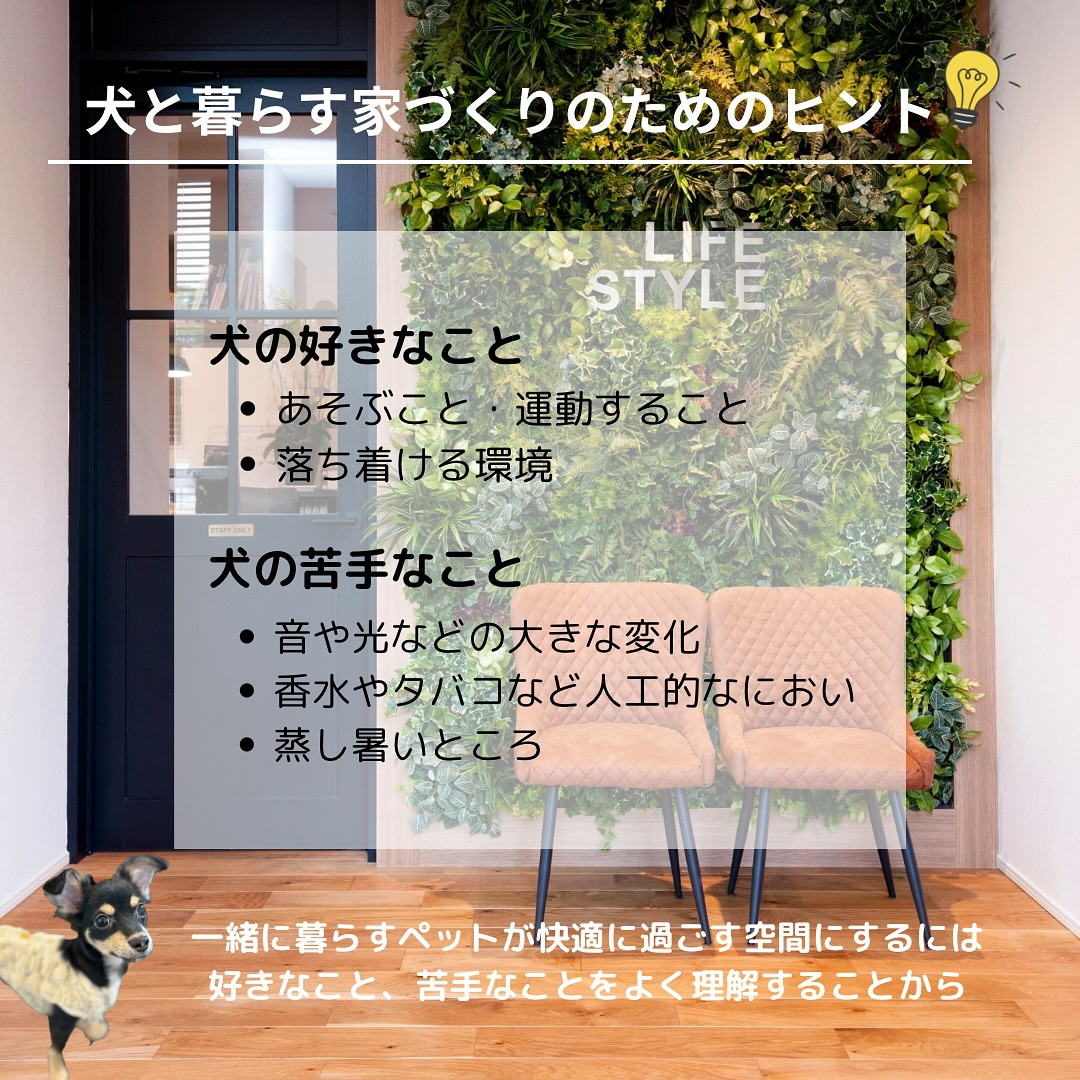 愛犬と暮らす家づくり