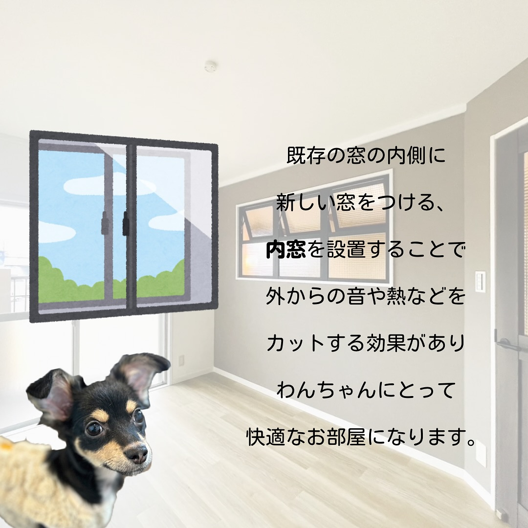 愛犬と暮らす家づくり
