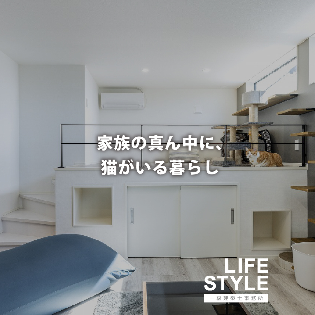 【福津市｜猫と夫婦の、ちょっと特別なマイホーム。