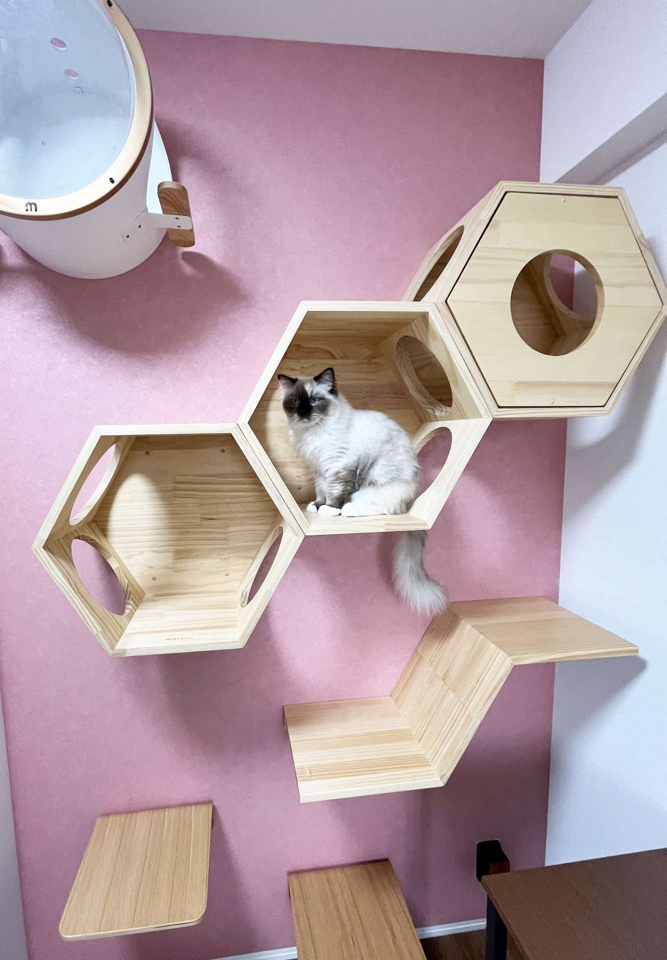 ピンクの壁に映えるキャットウォーク｜マンションにも設置可能