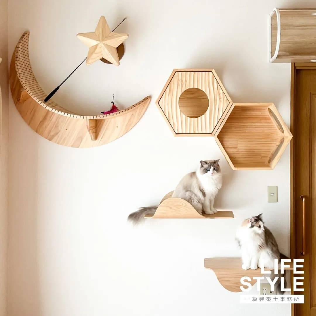 ペットと暮らすリフォーム