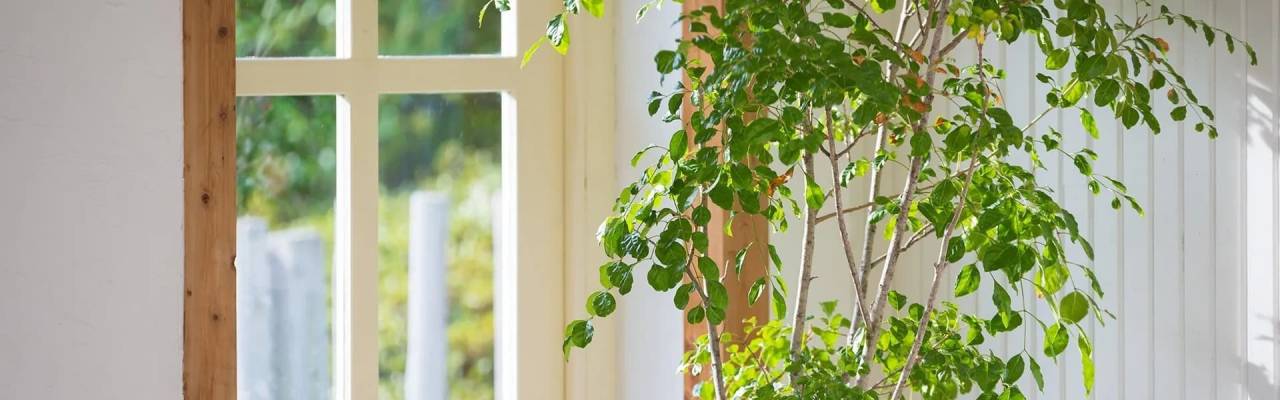 こだわりのある暮らし｜福岡｜古賀｜福津｜新宮