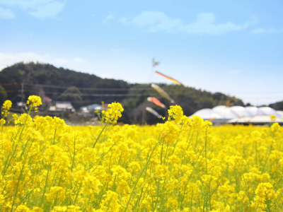 古賀市｜工務店