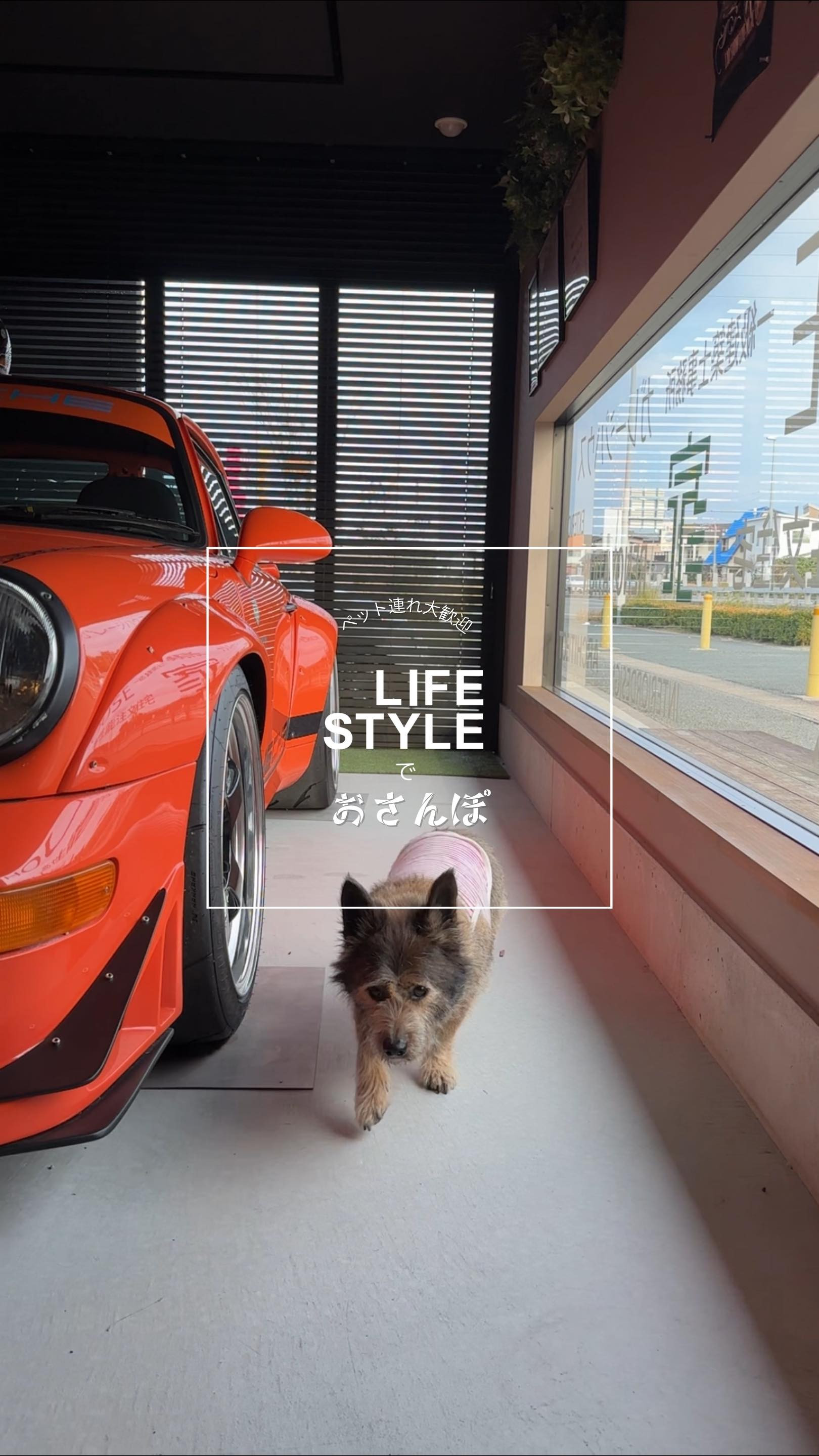 ペット連れ大歓迎