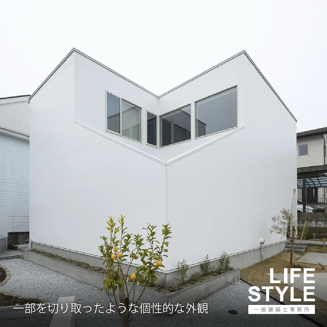 【注文住宅】猫も人も幸せに暮らせる家