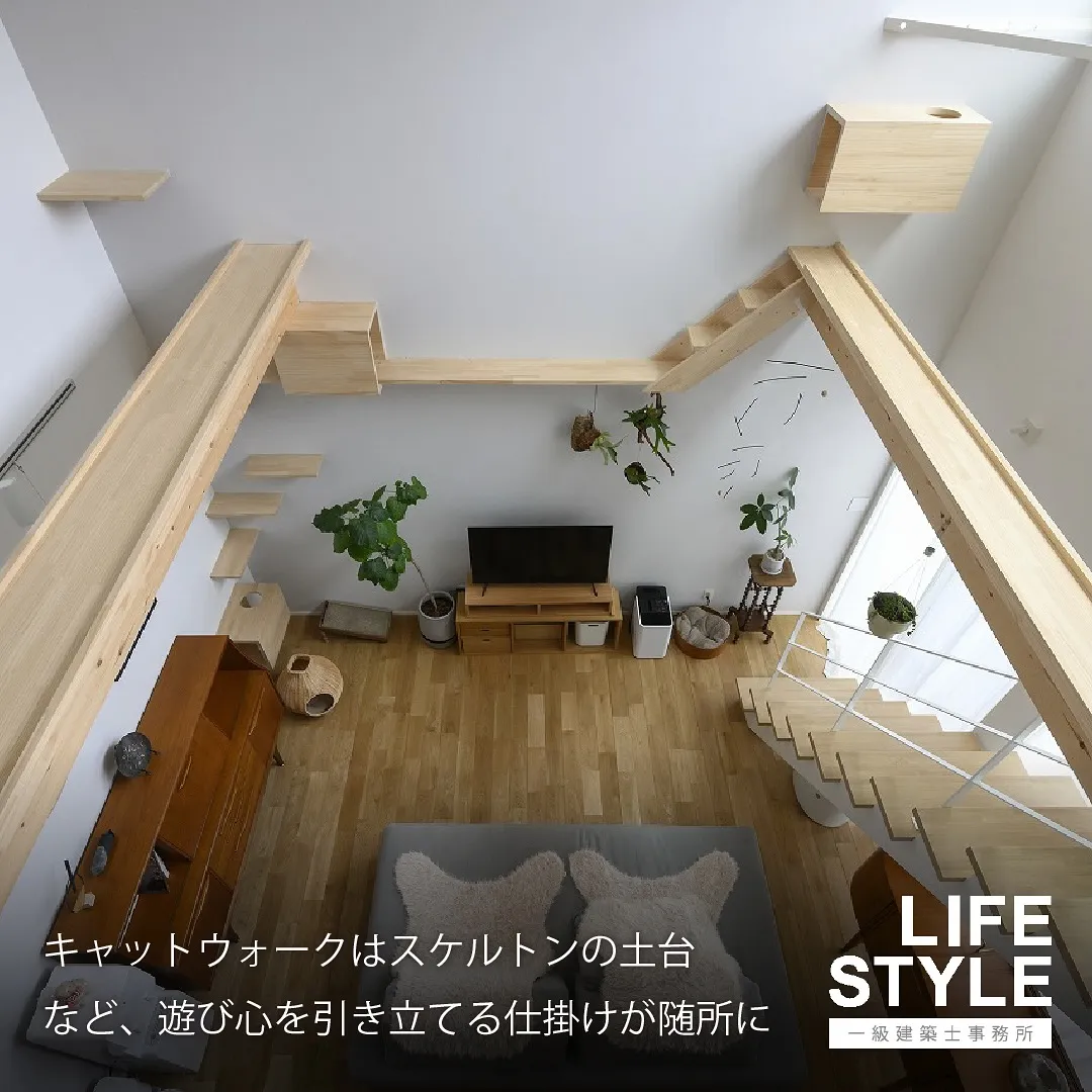 【注文住宅】猫も人も幸せに暮らせる家