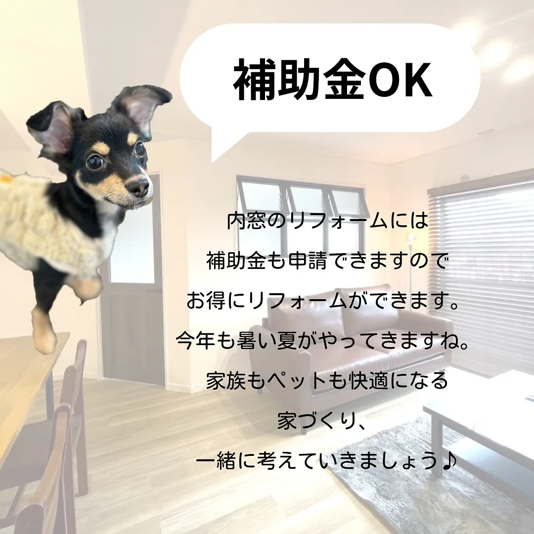 愛犬と暮らす家づくり