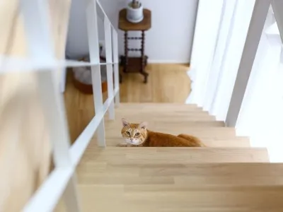 ペットと住むリフォームで愛犬猫と快適に暮らす快適空間作りの秘訣