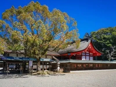 福岡県宗像市で理想の住まいを叶える！補助金活用とリノベーション攻略法