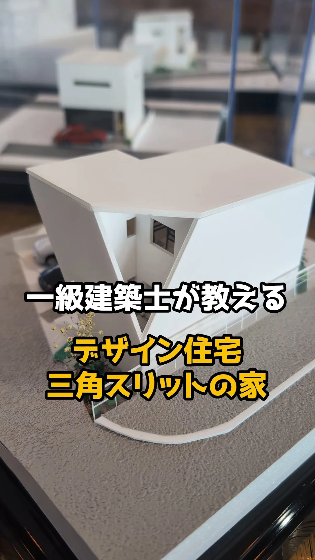 家の中に…トランポリン！？🤸‍♀️ボルダリング！？🧗‍♂️